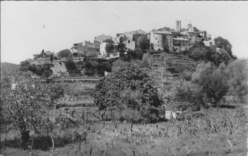 Biot