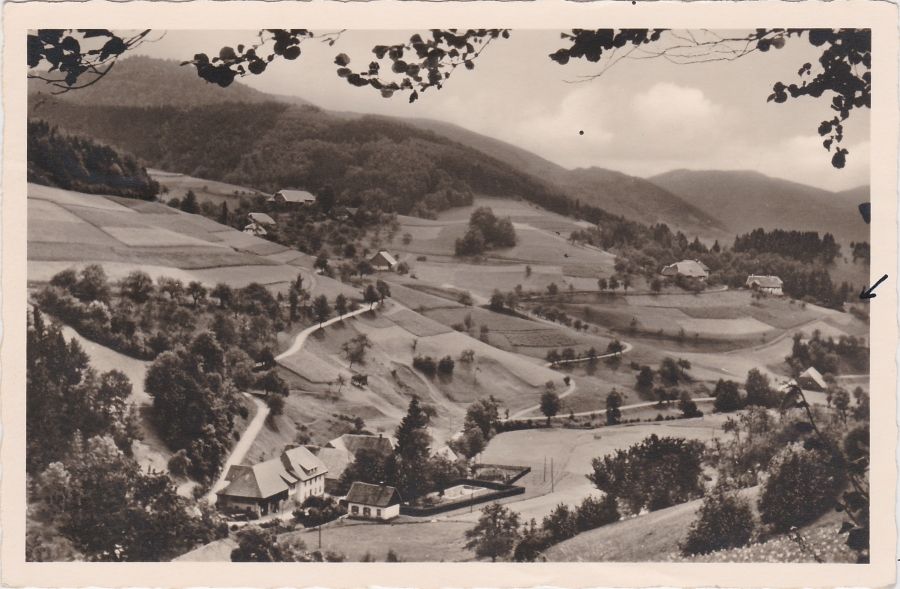 Postkarte Bürchau (1953)